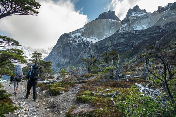 52403599442_5dcceb666e_c