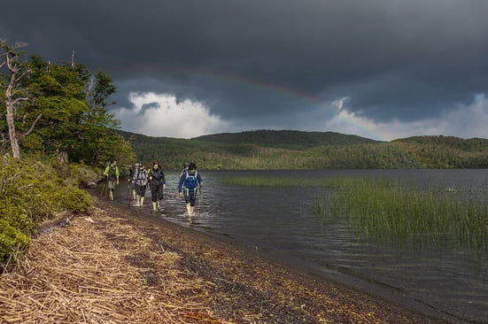 53479366162_596f30ae69_c