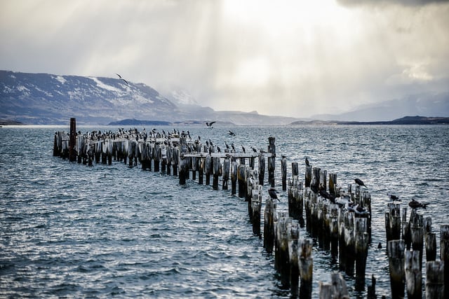 tour valle frances Muelle Historico Puerto Natales